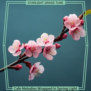 Cafe Melodies Wrapped in Spring Light