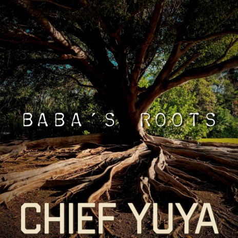 Baba's Roots