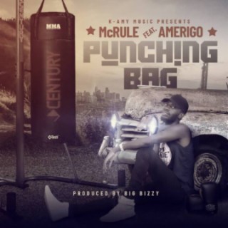 Punching bag