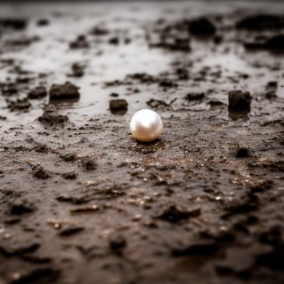 Pearl in the Mud