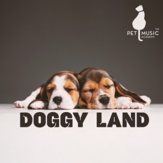 Doggy Land - Twinkle Twinkle Little Star (Instrumental Puppy Lullabies)
