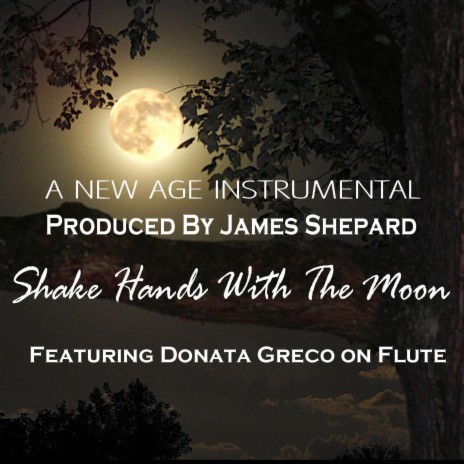 SHAKE HANDS WITH THE MOON | Boomplay Music