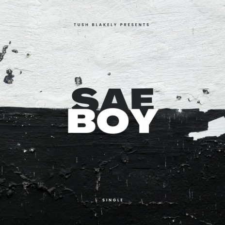 SAE BOY | Boomplay Music