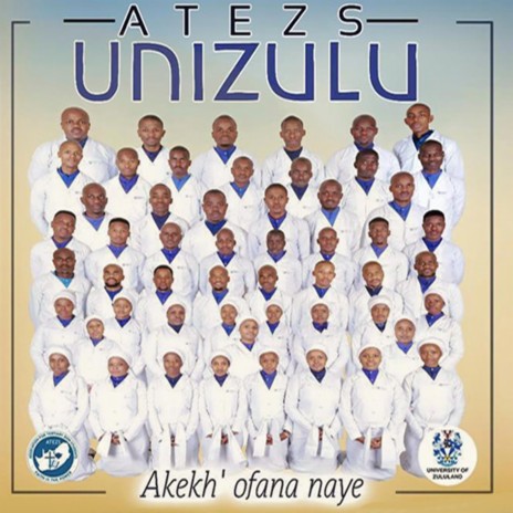 Ngithul 'ubufakazi | Boomplay Music
