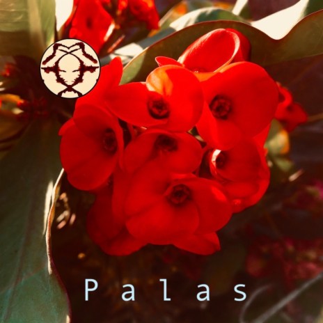 Palas | Boomplay Music