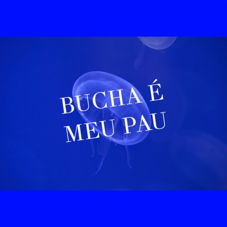 Bucha É Meu Pau ft. Mc 4R | Boomplay Music