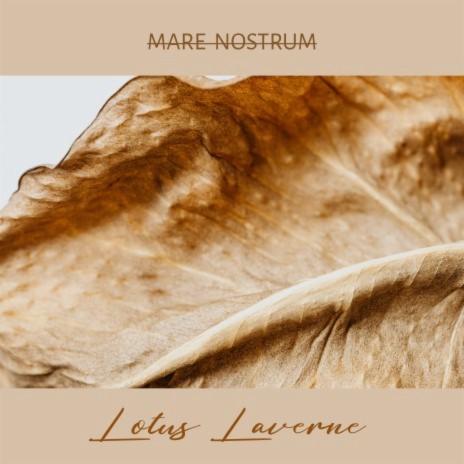 Mare Nostrum | Boomplay Music