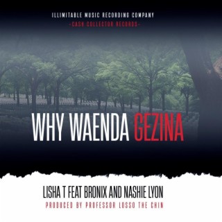 Why Waenda(Gezina)