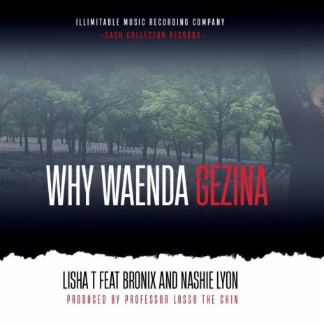 Why Waenda(Gezina) ft. Bronix & Nash Lyon | Boomplay Music