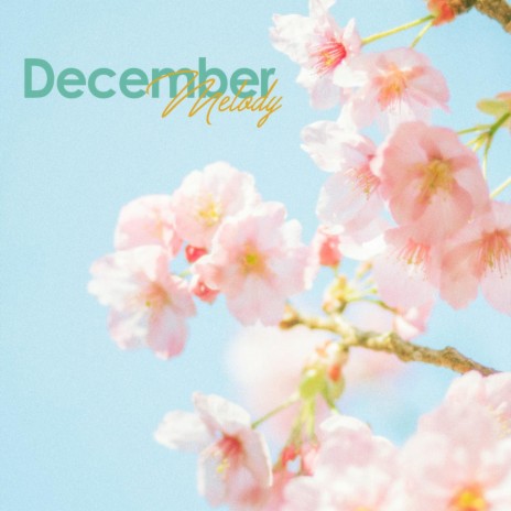 December Melody (feat. Le Van Pianist)