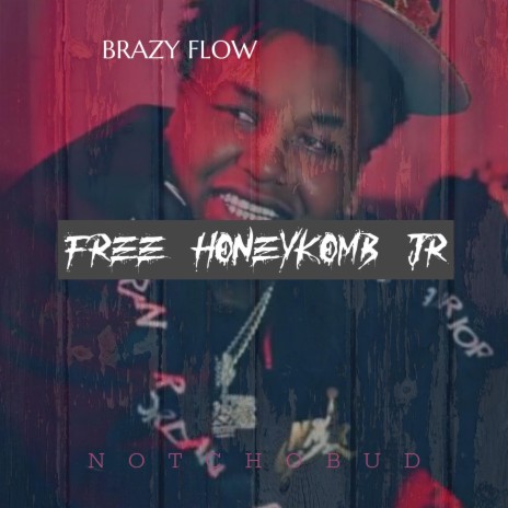 Brazy Flow | Boomplay Music