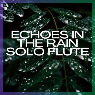 Echoes in the Rain: Solo Flute