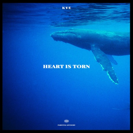 Heart Is Torn | Boomplay Music