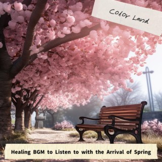 Healing Bgm to Listen to with the Arrival of Spring