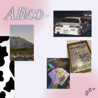 ALICO lyrics | Boomplay Music