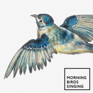 Morning Birds Singing: Soothing Nature Sounds