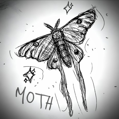 Moth