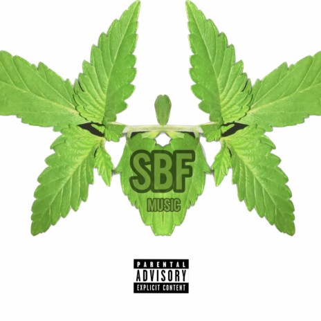 S.B.F 66 | Boomplay Music