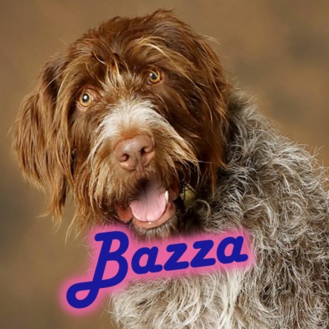 Bazza | Boomplay Music