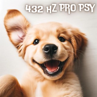 Hudba s léčebnou frekvencí 432 Hz pro psy