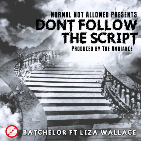 Don't Follow the Script (feat. Liza Wallace) | Boomplay Music