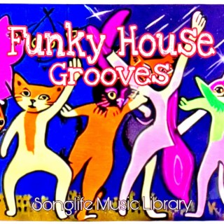 Funky House Grooves