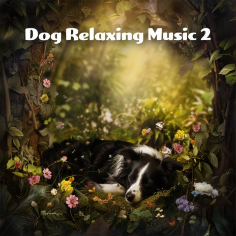 Dog Peace of Mind Vol. 8 ft. Music for Calming Dogs & Relaxing Music for Dogs | Boomplay Music