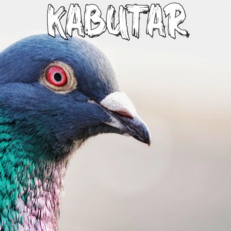 Kabutar | Boomplay Music