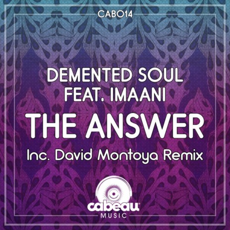 The Answer (Demented Soul Imp5 Afro Remix) ft. Imaani