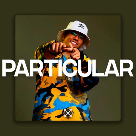 PARTICULAR | Boomplay Music