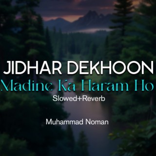 Jidhar Dekhoon Madine Ka Haram Ho Lofi