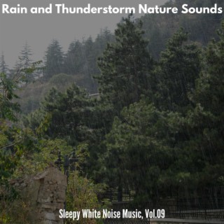 Rain and Thunderstorm Nature Sounds - Sleepy White Noise Music, Vol.09