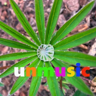 Unmusic