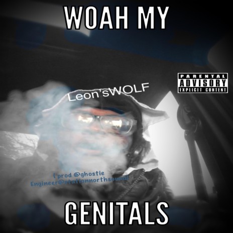 WOAH my GenITALS | Boomplay Music