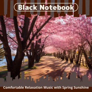 Comfortable Relaxation Music with Spring Sunshine