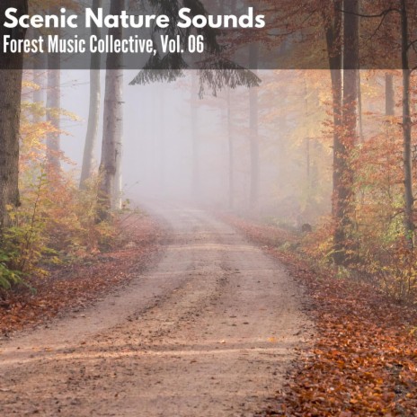 Scenic Deciduous Forest East Spring Birdsongs Woodpeckers | Boomplay Music