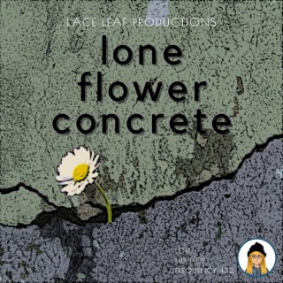 Lone Flower Concrete 432