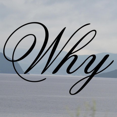 Why | Boomplay Music