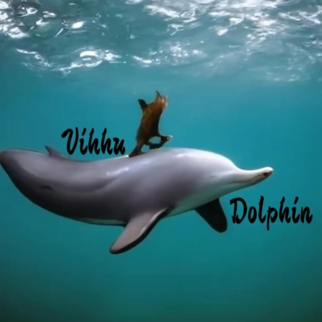 Dolphin | Boomplay Music