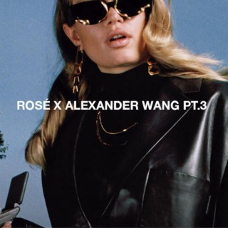 Alexander Wang Pt. 3