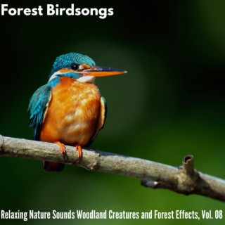 Forest Birdsongs - Relaxing Nature Sounds Woodland Creatures and Forest Effects, Vol. 08