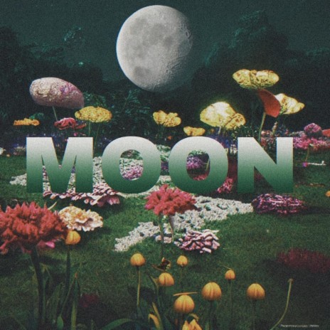 Moon | Boomplay Music