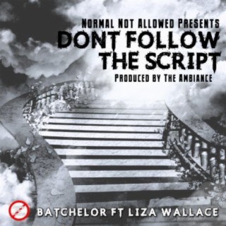 Don't Follow the Script (feat. Liza Wallace)