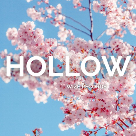 Hollow | Boomplay Music