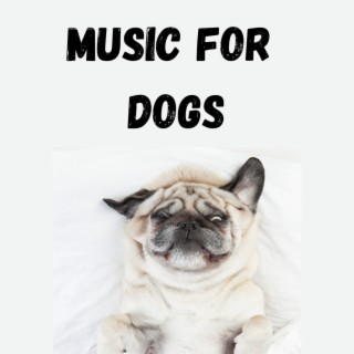 Music For Dogs (Vol.163)