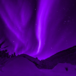 northern lights