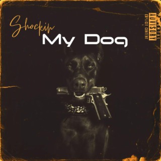 My Dog lyrics | Boomplay Music