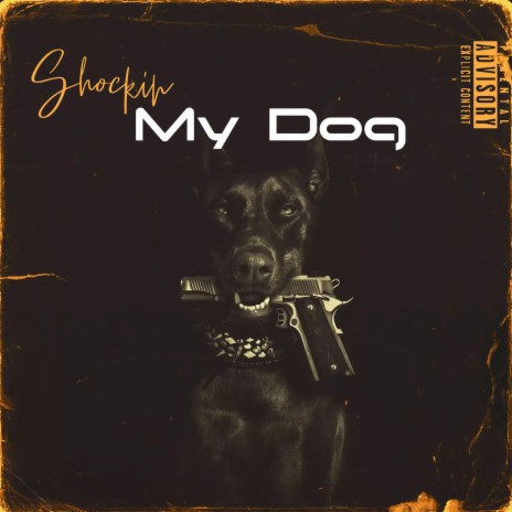 My Dog | Boomplay Music