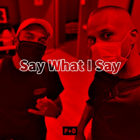 Say What I Say | Boomplay Music
