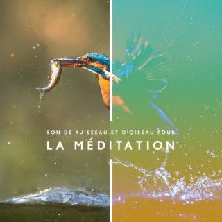 Musique de méditation avec son de ruisseau et d'oiseaux pour une relaxation profonde
